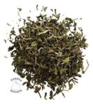 Darjeeling 1. Flush Samabeong øko. 2026